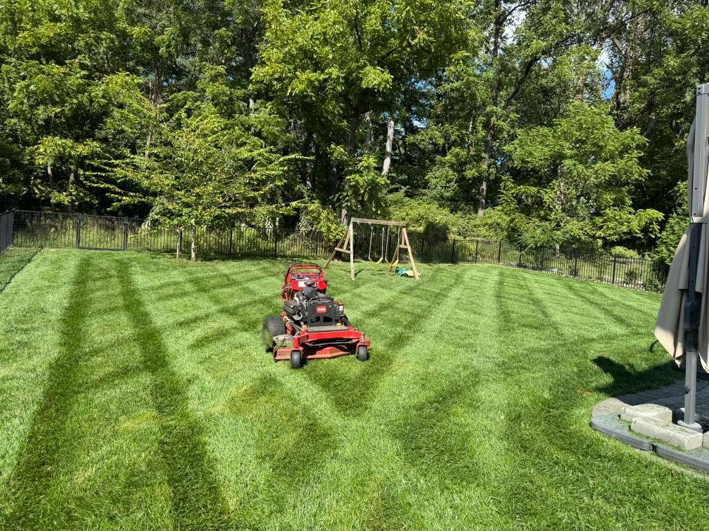 LAWN MOWING